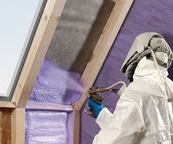 Best Blown-In Insulation  in Potterville, MI