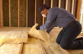 Best Insulation for New Construction  in Potterville, MI