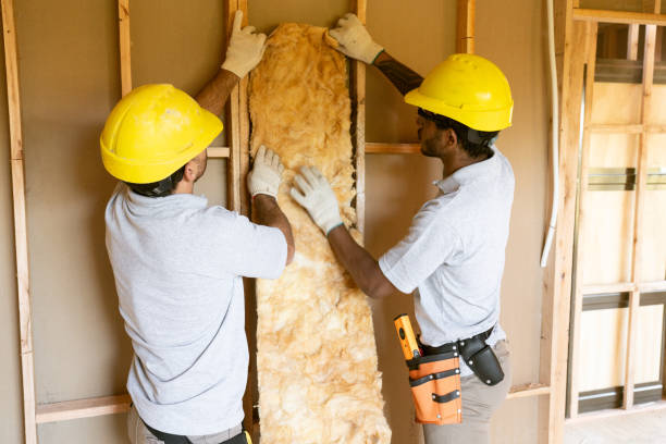 Best Insulation for New Construction  in Potterville, MI