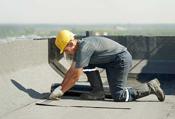 Best Attic Insulation Installation  in Potterville, MI