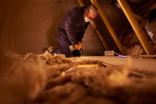 Types of Insulation We Offer in Potterville, MI